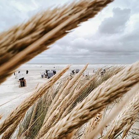 Nordstrandperle Ap H12 Daire Norderney
