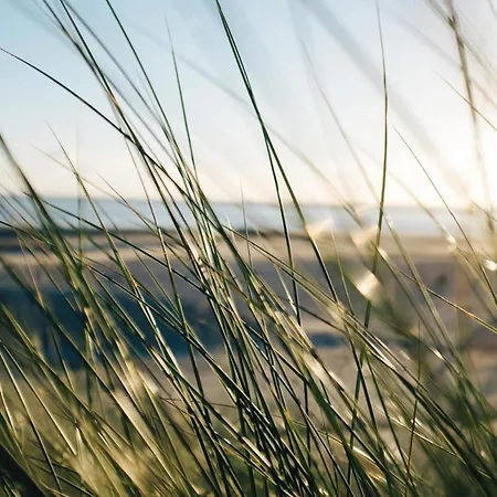 Apartment Nordstrandperle Ap H12 *